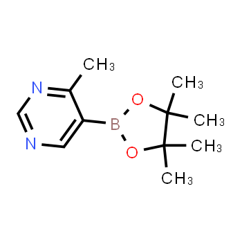 1370001-96-9 | 4-methyl-5-(4,4,5,5-tetramethyl-1,3,2-dioxaborolan-2-yl)pyrimidine