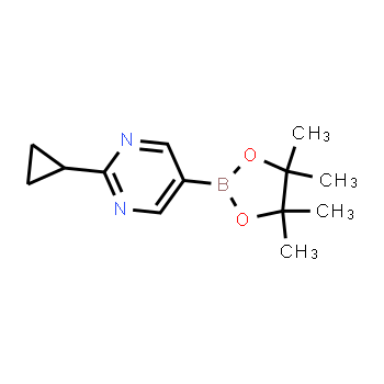 1375301-91-9 | 2-cyclopropyl-5-(4,4,5,5-tetramethyl-1,3,2-dioxaborolan-2-yl)pyrimidine