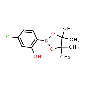 1377503-12-2 | 5-chloro-2-(4,4,5,5-tetramethyl-1,3,2-dioxaborolan-2-yl)phenol