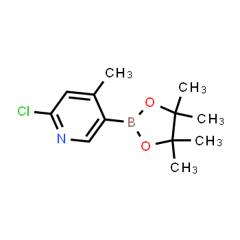 1382851-54-8 | 2-chloro-4-methyl-5-(4,4,5,5-tetramethyl-1,3,2-dioxaborolan-2-yl)pyridine