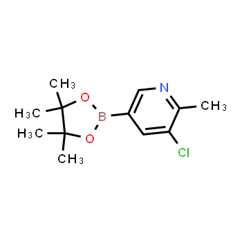 1383985-18-9 | 3-chloro-2-methyl-5-(4,4,5,5-tetramethyl-1,3,2-dioxaborolan-2-yl)pyridine