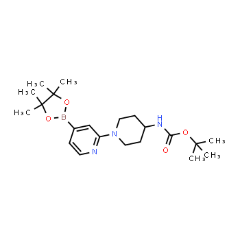 1417628-02-4 | tert-butyl (1-(4-(4,4,5,5-tetramethyl-1,3,2-dioxaborolan-2-yl)pyridin-2-yl)piperidin-4-yl)carbamate