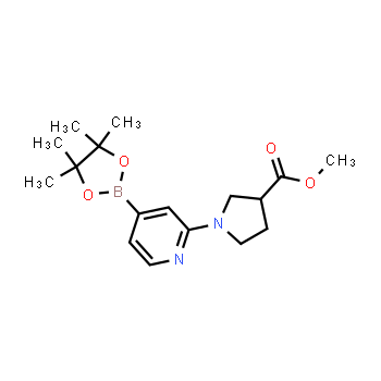 1417628-64-8 | methyl 1-(4-(4,4,5,5-tetramethyl-1,3,2-dioxaborolan-2-yl)pyridin-2-yl)pyrrolidine-3-carboxylate