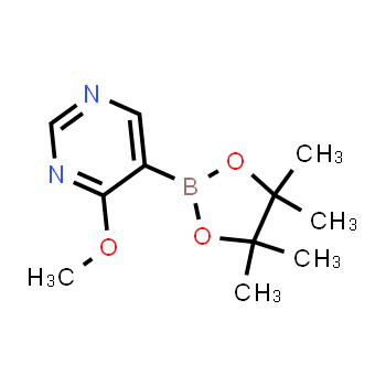 1448869-98-4 | 4-methoxy-5-(4,4,5,5-tetramethyl-1,3,2-dioxaborolan-2-yl)pyrimidine