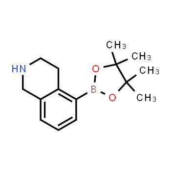 1454668-12-2 | 5-(4,4,5,5-tetramethyl-1,3,2-dioxaborolan-2-yl)-1,2,3,4-tetrahydroisoquinoline