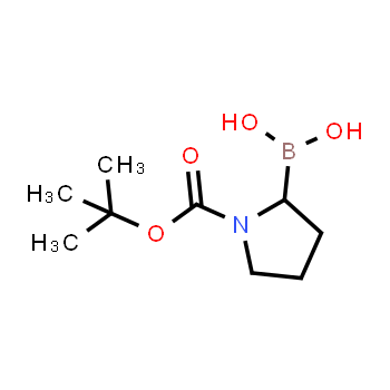 149682-75-7 | 1-N-boc-pyrrolidin-2-ylboronic acid