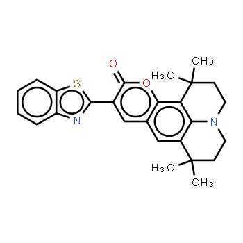 155306-71-1 | C545T