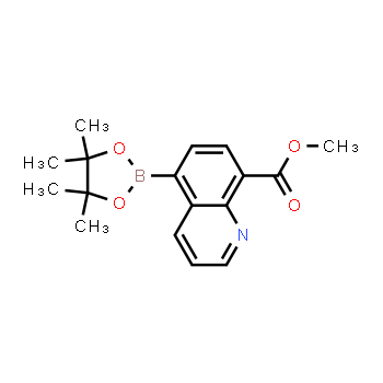 1627722-90-0 | methyl 5-(4,4,5,5-tetramethyl-1,3,2-dioxaborolan-2-yl)quinoline-8-carboxylate