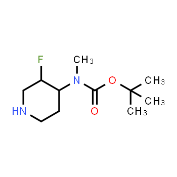 1630907-22-0 | tert-butyl N-(3-fluoropiperidin-4-yl)-N-methylcarbamate