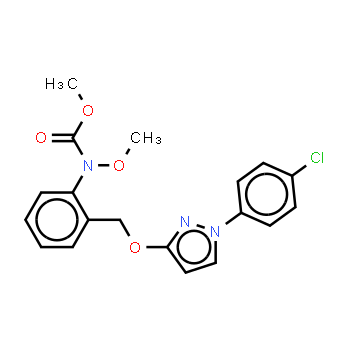 175013-18-0 | Pyraclostrobine