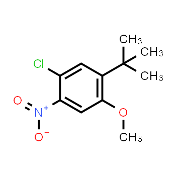 1823234-64-5 | 1-tert-Butyl-5-chloro-2-methoxy-4-nitrobenzene