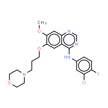 184475-35-2 | Gefitinib