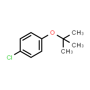 18995-35-2 | 4-Chloro-1-tert-butoxybenzene