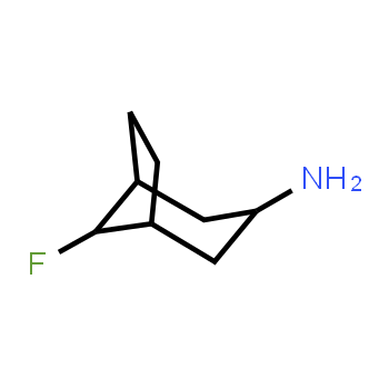 1934484-03-3 | 8-fluorobicyclo[3.2.1]octan-3-amine