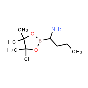 208521-05-5 | 1-(4,4,5,5-tetramethyl-1,3,2-dioxaborolan-2-yl)butan-1-amine