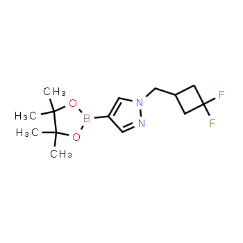 2101934-11-4 | 1-[(3,3-difluorocyclobutyl)methyl]-4-(tetramethyl-1,3,2-dioxaborolan-2-yl)-1H-pyrazole