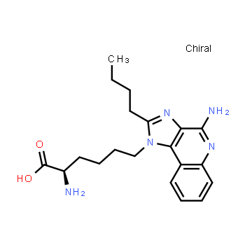 2170549-01-4 | (R)-2-amino-6-(4-amino-2-butyl-1H-imidazo[4,5-c]quinolin-1-yl)hexanoic acid