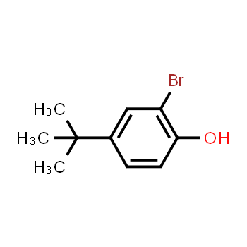 2198-66-5 | 2-Bromo-4-tertButylphenol