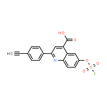 2205053-22-9 | 2-(4-ethynylphenyl)-6-[(fluorosulfonyl)oxy]- 4-Quinolinecarboxylic acid