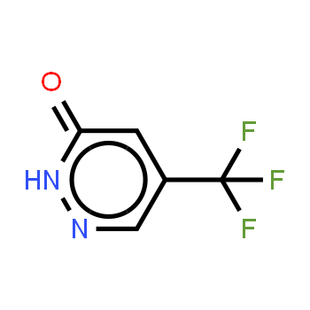 244268-34-6 | 5-Trifluoromethyl-2H-pyridazine-2-one