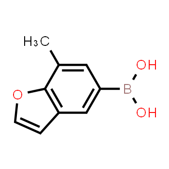 254886-15-2 | (7-methylbenzofuran-5-yl)boronic acid