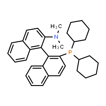 255882-15-6 | 2'-(dicyclohexylphosphino)-N,N-dimethyl-1,1'-binaphthyl-2-amine