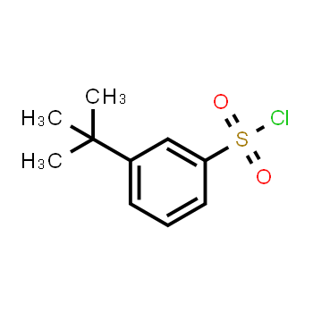 2905-26-2 | 3-Tert-butylbenzenesulfonyl chloride