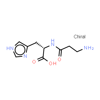 305-84-0 | L-Carnosine