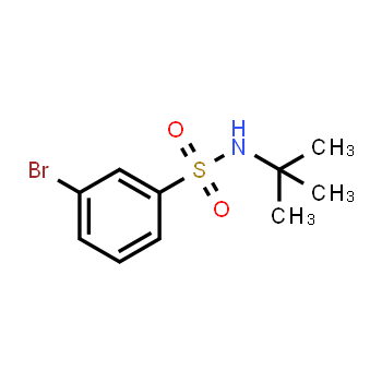 308283-47-8 | 3-bromo-N-tert-butylbenzenesulfonamide