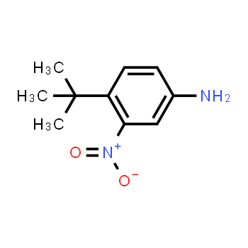 31951-12-9 | 4-tert-butyl-3-nitroaniline