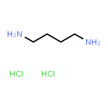 333-93-7 | 1,4-Diaminobutane dihydrochloride