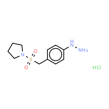 334981-11-2 | 4-(1-Pyrrolidinylsulforylmenthyl)phenylhydrazine hydrochloride