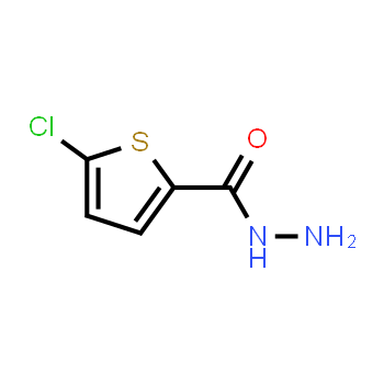 351983-31-8 | 5-Chloro-2-thiophenecarboxylic acid hydrazide