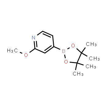 408502-23-8 | 2-methoxy-4-(4,4,5,5-tetramethyl-1,3,2-dioxaborolan-2-yl)pyridine