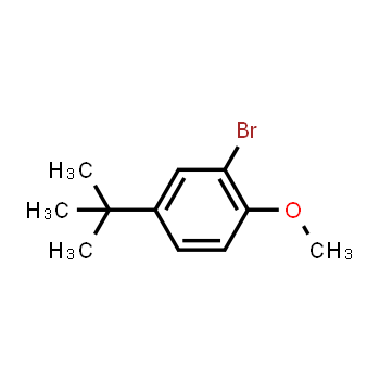 41280-65-3 | 2-Bromo-4-tert-butylanisole