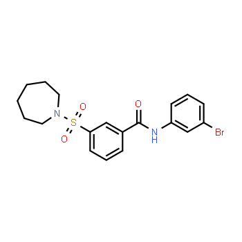 420831-40-9 | 3-(azepan-1-ylsulfonyl)-N-(3-bromophenyl)benzamide