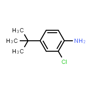 42265-67-8 | 4-(tert-butyl)-2-chloroaniline