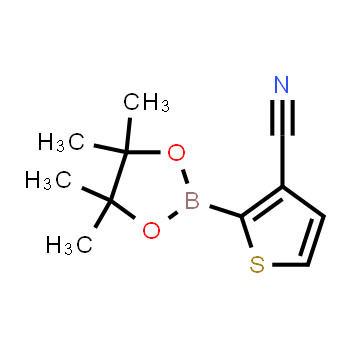 463336-26-7 | 2-(4,4,5,5-tetramethyl-1,3,2-dioxaborolan-2-yl)thiophene-3-carbonitrile