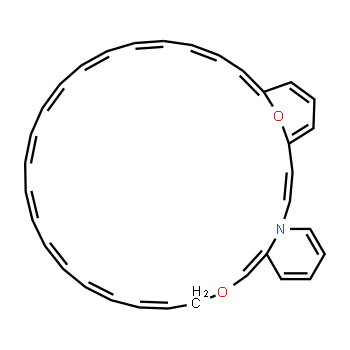 53123-88-9 | Sirolimus