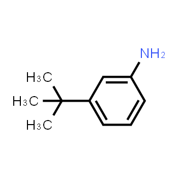 5369-19-7 | 3-Tert-butylaniline