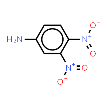 610-41-3 | 3,4-Dinitroaniline