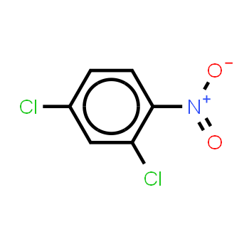 611-06-3 | 2,4-Dichloronitrobenzene