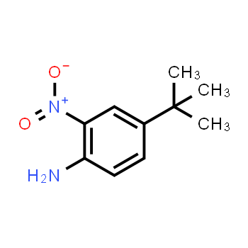 6310-19-6 | 2-Nitro-4-tert-butylaniline