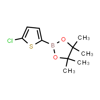 635305-24-7 | 2-(5-chlorothiophen-2-yl)-4,4,5,5-tetramethyl-1,3,2-dioxaborolane