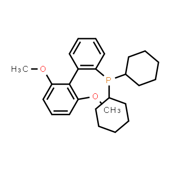 657408-07-6 | 2-Dicyclohexylphosphino-2',6'-dimethoxybiphenyl