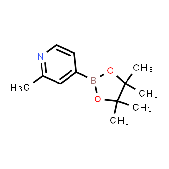 660867-80-1 | 2-methyl-4-(4,4,5,5-tetramethyl-1,3,2-dioxaborolan-2-yl)pyridine