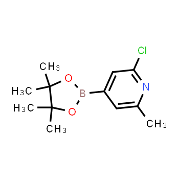 697739-22-3 | 2-chloro-6-methyl-4-(4,4,5,5-tetramethyl-1,3,2-dioxaborolan-2-yl)pyridine