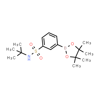 706820-95-3 | 3-(tert-butylamino)sulfonyl-phenylboronic acid pinacol ester