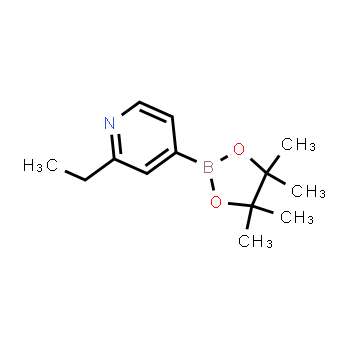 741709-60-4 | 2-ethyl-4-(4,4,5,5-tetramethyl-1,3,2-dioxaborolan-2-yl)pyridine