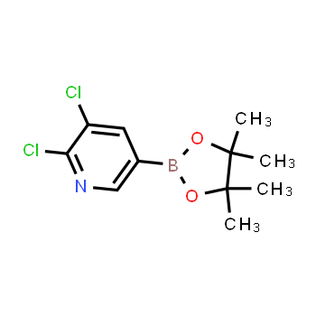 741709-64-8 | 2,3-dichloro-5-(4,4,5,5-tetramethyl-1,3,2-dioxaborolan-2-yl)pyridine